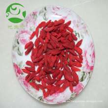 Beneficios para la salud de la baya de Goji secada orgánica de China Caja fuerte de las bayas de goji